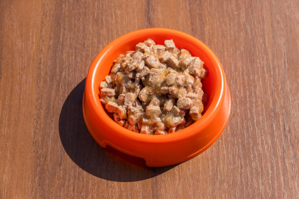 装在橙色塑料碗里的猫或狗的罐头食品素材图片