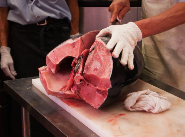 金枪鱼拆迁过程图片下载