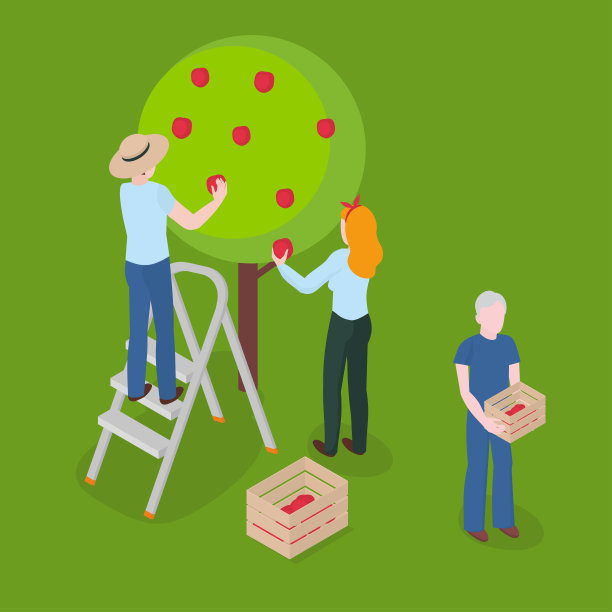 收获苹果。农业，园艺和农业图片下载