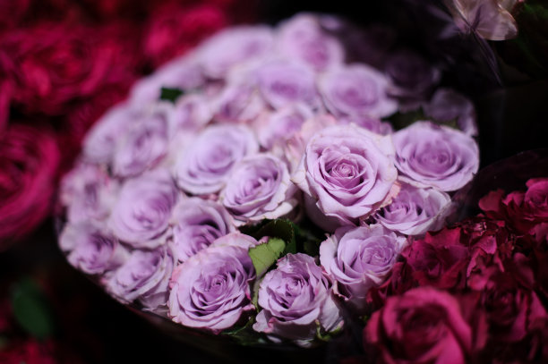 俯视图的花束组成的温柔的丁香玫瑰图片下载