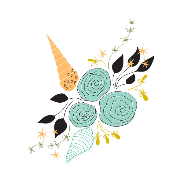 矢状海花图片下载