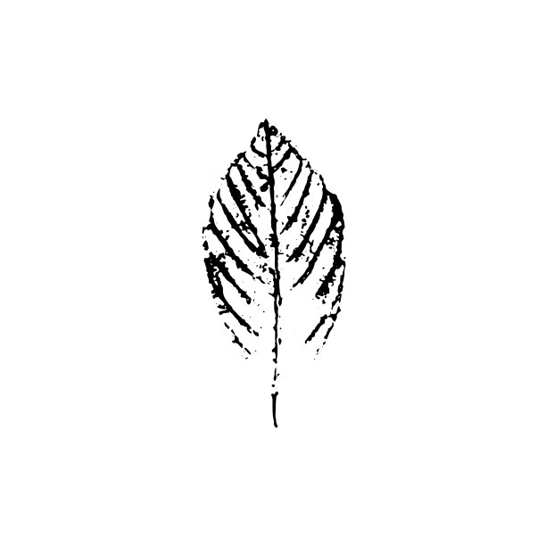 向量叶印记图片下载