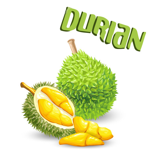 榴莲食物图片素材ID：315825012