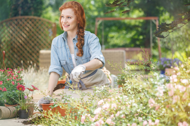 刚成立园艺公司的老板图片下载