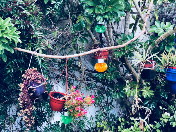 花园装饰图片下载