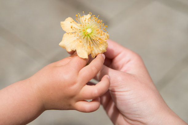 母亲和孩子手捧鲜花素材图片