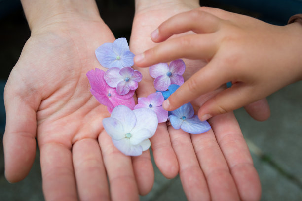 母亲和孩子手捧鲜花素材图片