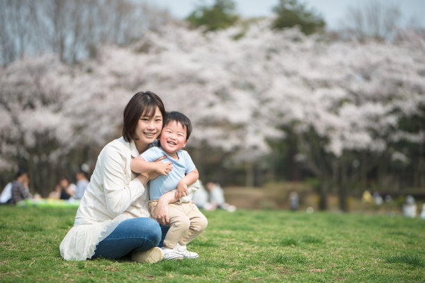 怀孕的母亲和孩子与樱花树图片下载