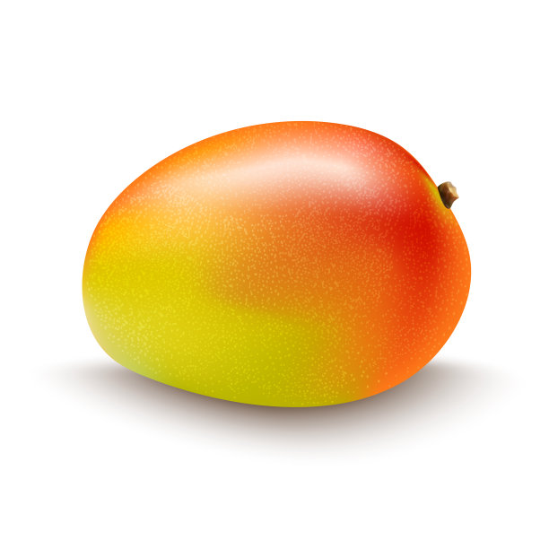 芒果果实孤立在白色的背景图片下载