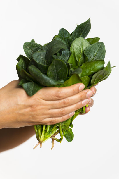 手拌新鲜菠菜图片下载