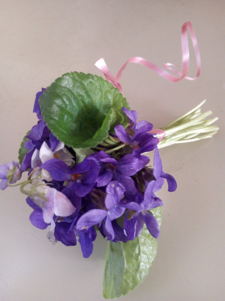 母亲节图片下载