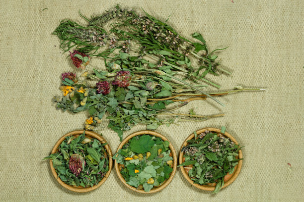 一套治疗药草。图片下载