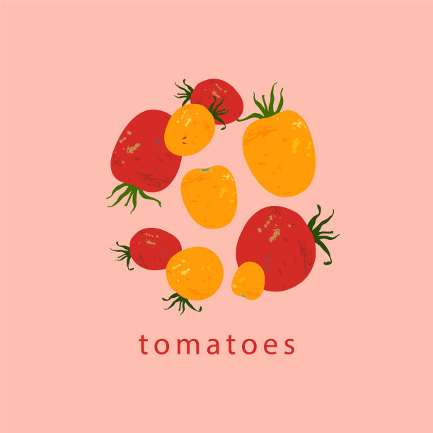 黄色和红色的西红柿。矢量插图。图片下载