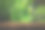 在自然中种植咖啡幼苗新鲜的绿色植物特写图片下载