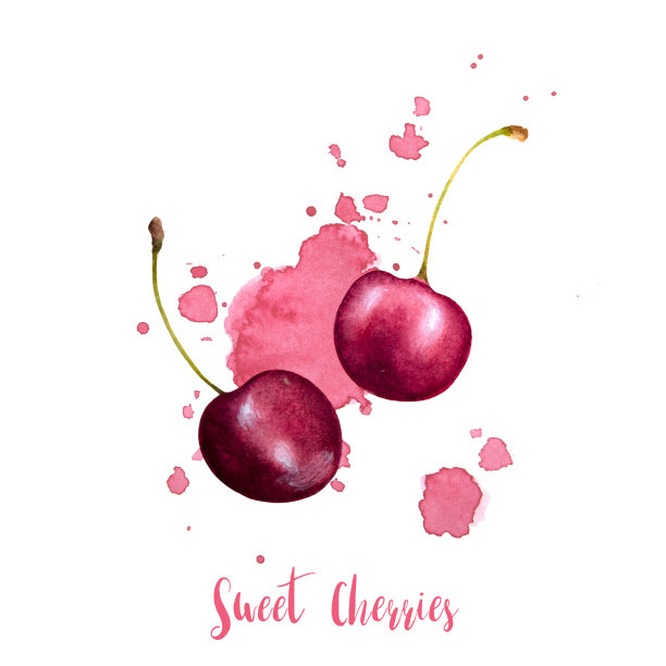 水彩画的甜樱桃。图片下载