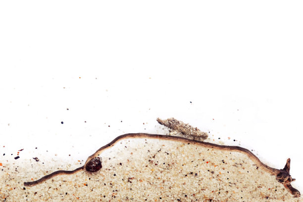 沙滩和沙滩的背景上是白色的图片下载