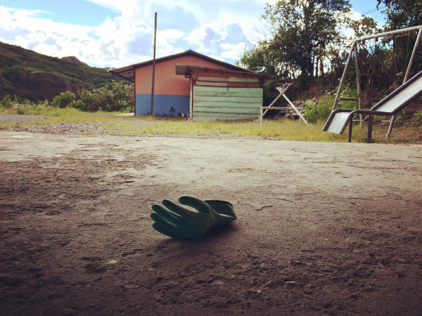 放弃了万寿菊手套图片下载