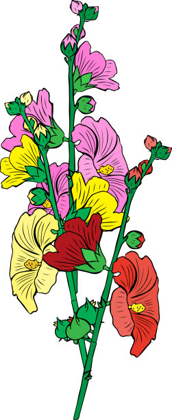 三种花，黄色，红色和粉红色，绿色的茎图片下载
