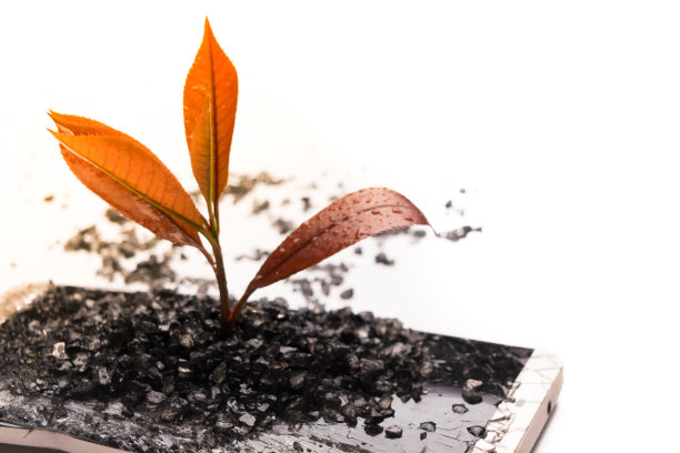 小树苗在破碎的智能手机上生长，环境、知识、创新和技术的概念与复制空间图片下载