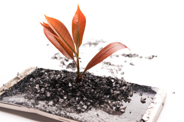 小树成长在破碎的智能手机上，环境、知识、创新和技术的概念与复制空间图片下载