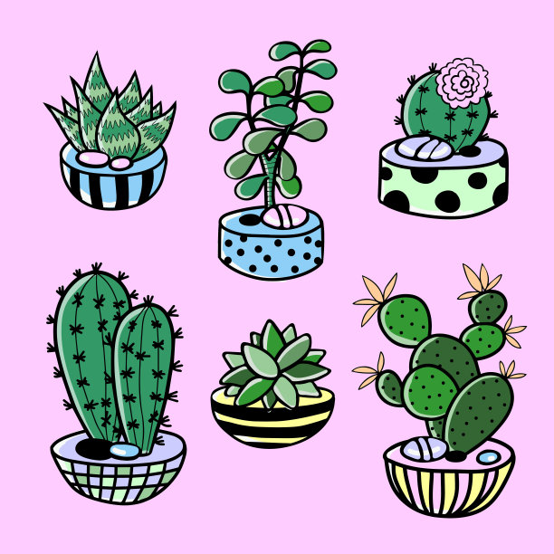 卡通仙人掌，多汁和盆素材图片