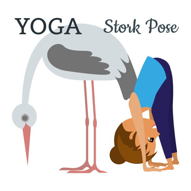 瑜伽。体位是鹳的姿势。练习的图解。女孩和鹳。向量素材图片