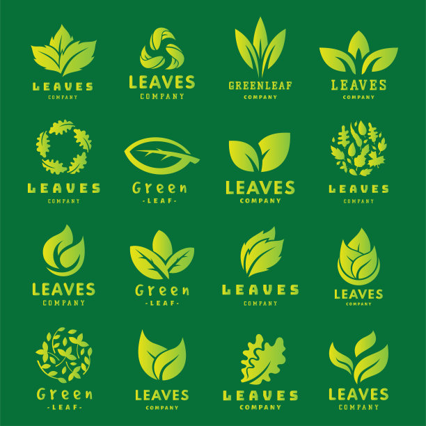 绿叶生态设计友好自然优雅符号和自然元素生态有机矢量插图素材图片