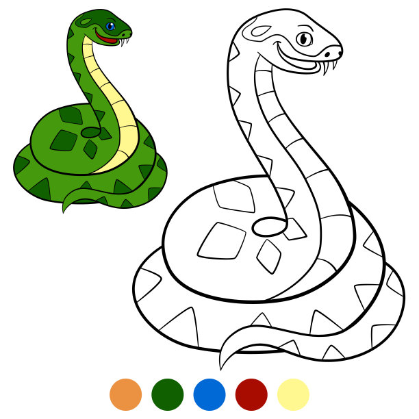 颜色我:毒蛇。可爱的小毒蛇笑了。图片下载