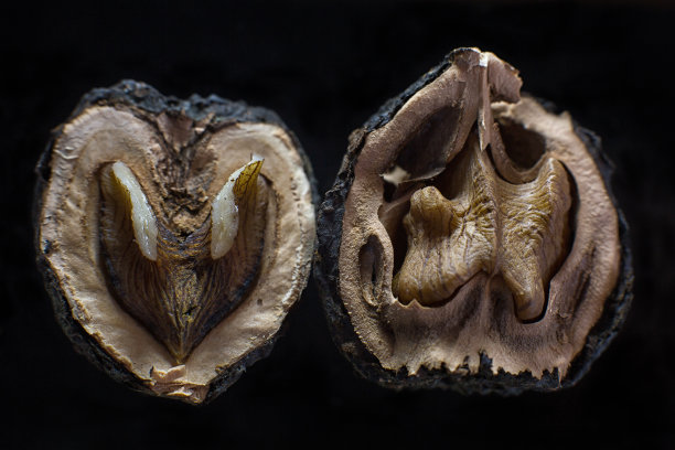 厄瓜多尔黑核桃，叫托克特图片下载