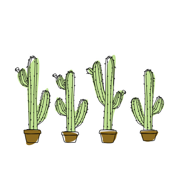 花盆里的仙人掌图片下载