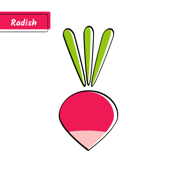扁平红萝卜教育卡具有黑色轮廓图片下载