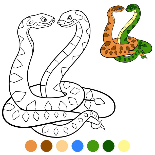 颜色我:毒蛇。两条可爱的毒蛇微笑着。图片下载