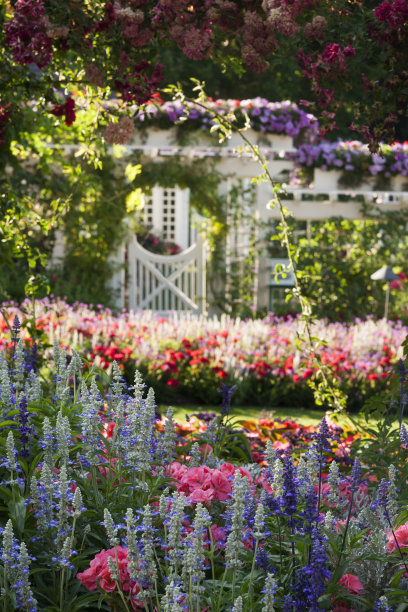美丽的花朵盛开在正式的花园里图片下载