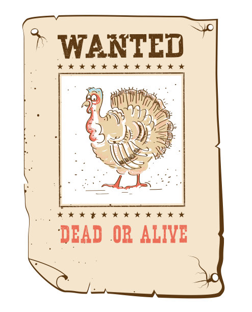 感恩节火鸡想要西部纸上有趣的海报图片下载