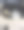 可爱的豚鼠在宠物承运人准备旅行图片下载