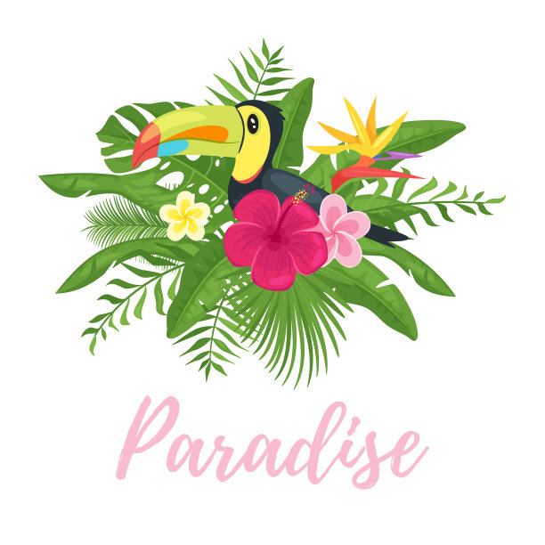 夏季设计的季节明信片图片下载