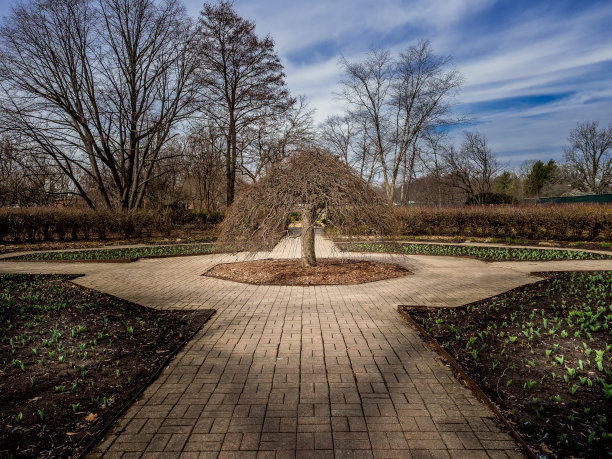 自然觉醒图片下载