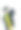 亚洲小孩穿着毕业礼服和帽子。孤立在白色背景。图片下载