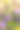 蜜蜂飞近花与阳光照耀的背景图片下载