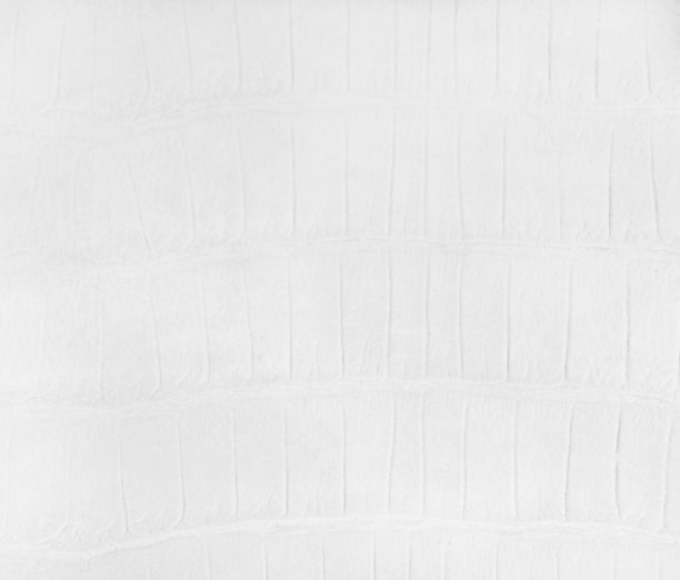 白色人造鳄鱼皮图片下载