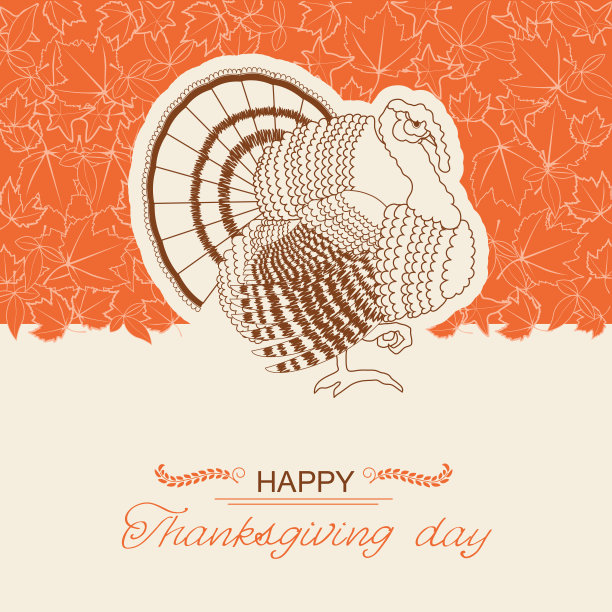 火鸡鸟背景感恩节贺卡图片下载