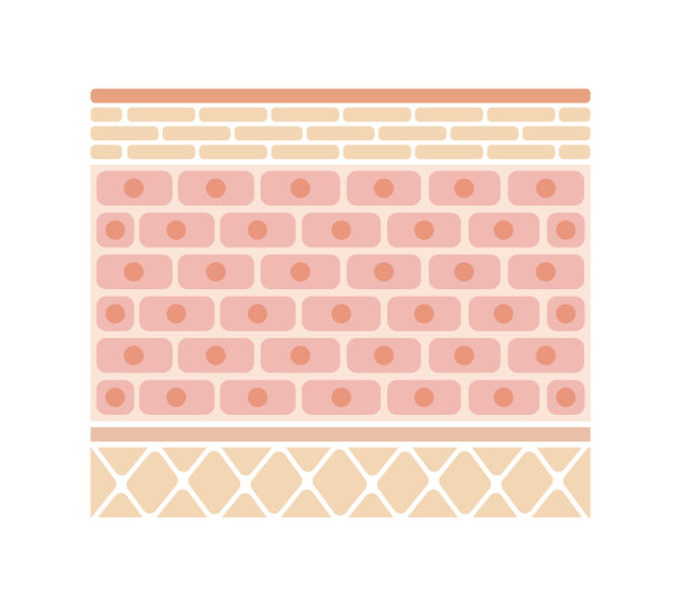 人皮插图图层(无文字)图片下载