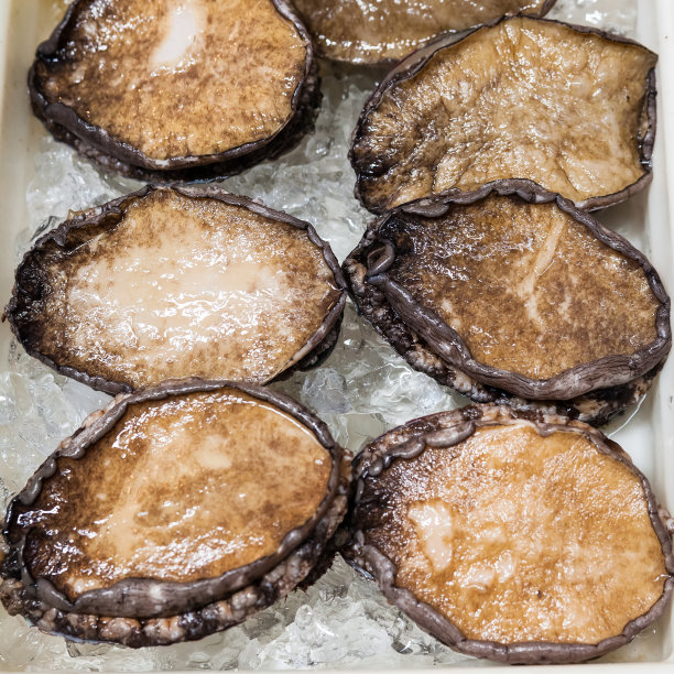 新鲜的鲍鱼图片下载