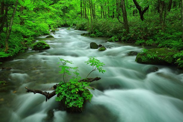 夏天的瓦拉塞溪图片下载