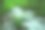 夏天的瓦拉塞溪图片下载