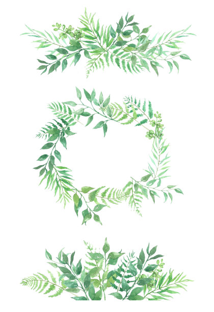 叶子插画素材ID：316031532