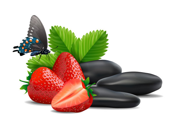 草莓，蝴蝶和卵石孤立在白色背景，矢量和插图。图片下载