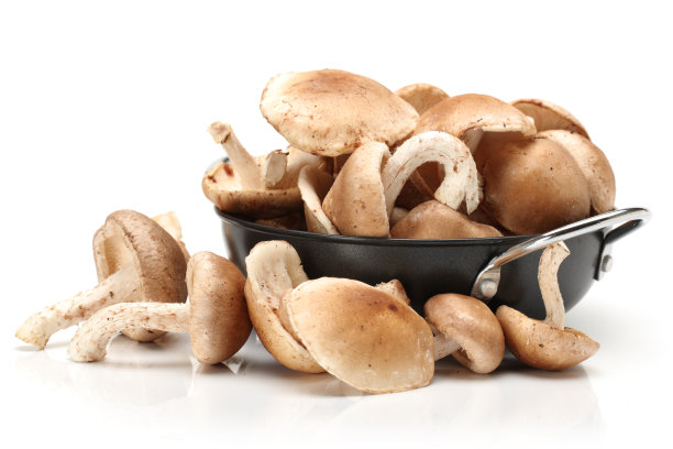 日本料理图片素材ID：316042296