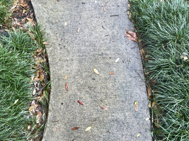 人行道和草图片下载