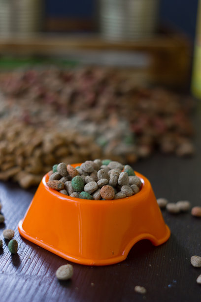 塑料碗和干燥的宠物食品在黑色木板上。素材图片